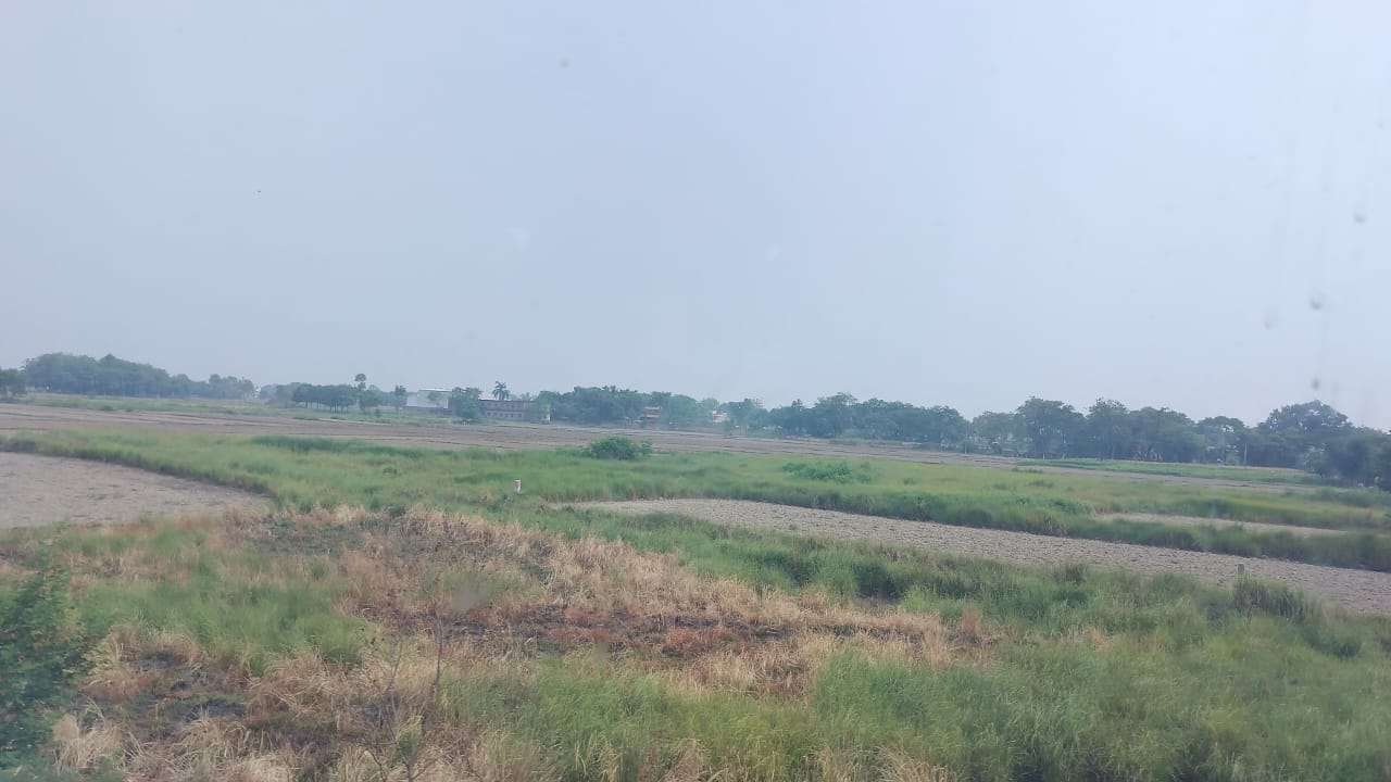 Exploring view